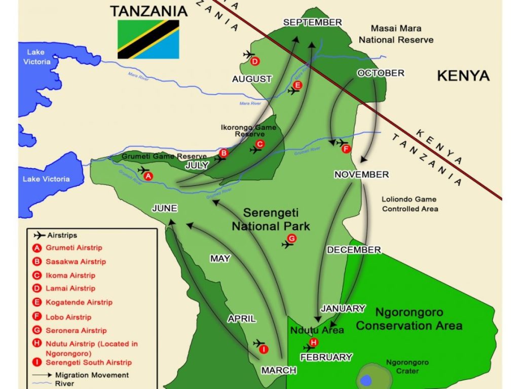 Cycle-of-Great-Wildebeest-Migration