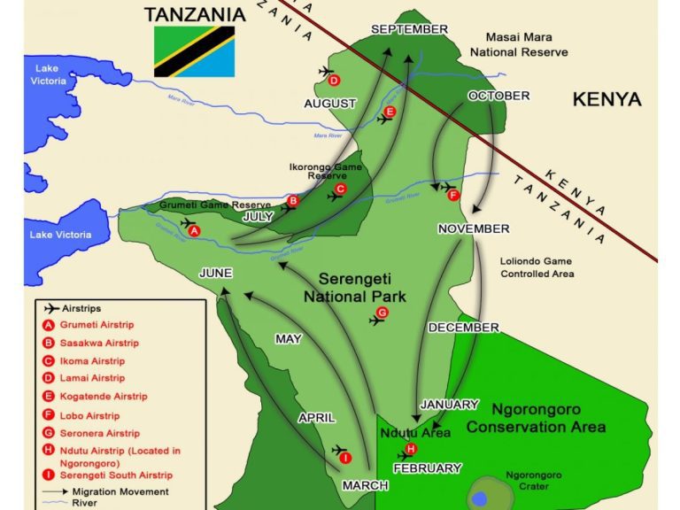 Cycle-of-Great-Wildebeest-Migration