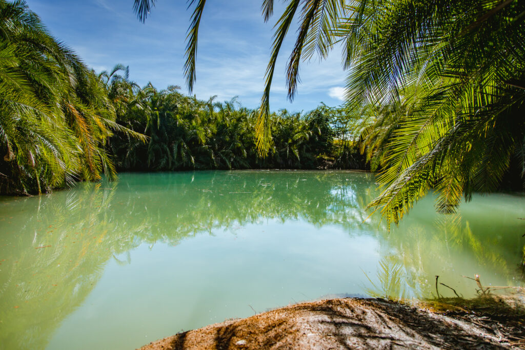 Chemka Hot Spring-Mateys Wild Tours