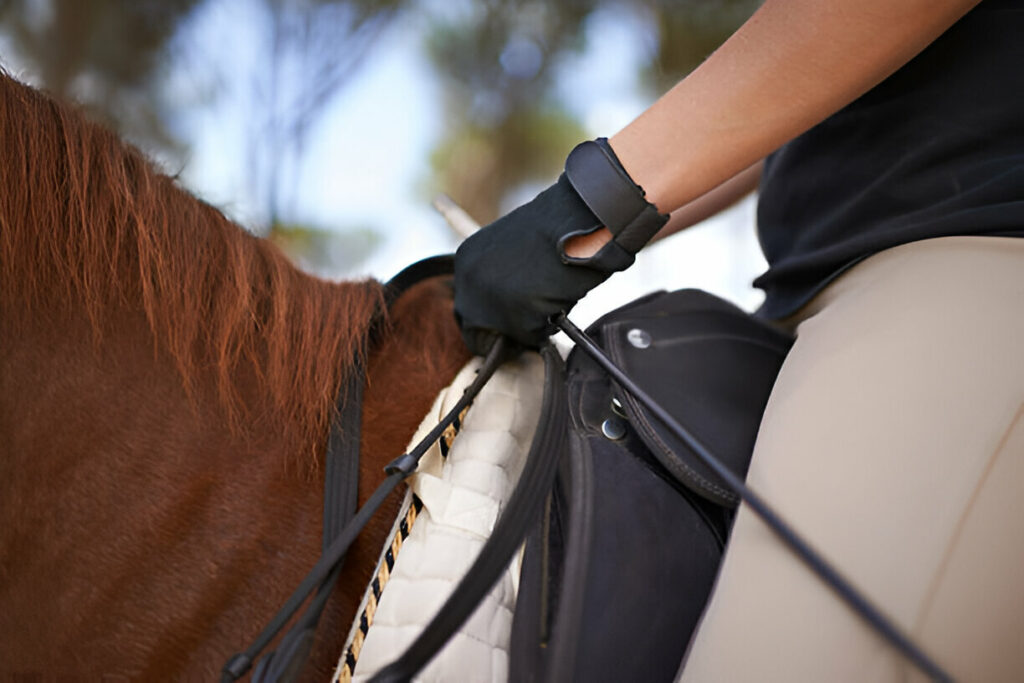 Horse-Riding-Gloves-Mateys Wild Tours