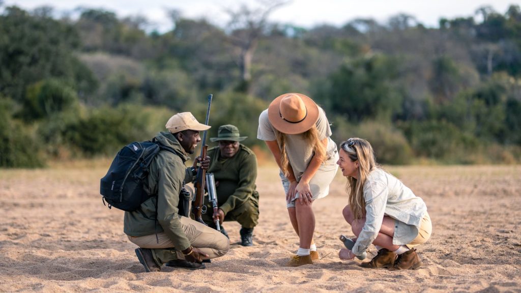 11-Day Protecting Wildlife With Tanzania Rangers.